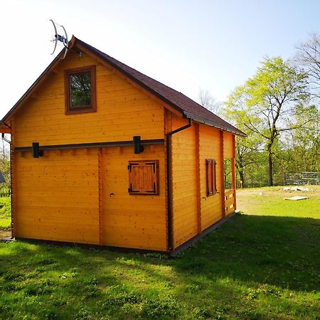 Willa Janowickie Zacisze Janowice Wielkie Zewnętrze zdjęcie